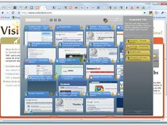 TooManyTabs Screenshot 2