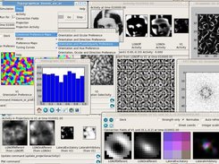 Topographica 0.9.5 on linux
