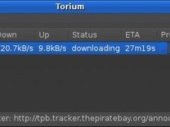 Torium interface
