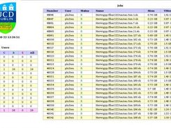 Torque monitor user interface