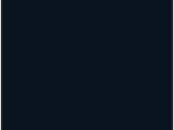IP Log
