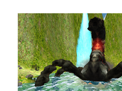 The CutScene