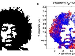 diffusion simulation