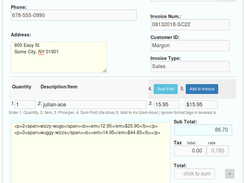 MAIN INVOICING WINDOW
