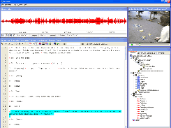 Transana's Main Screen