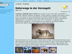 A report displayed in the Dynamic Travelbook.