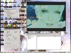 Showing a video playing (older; Win2000)