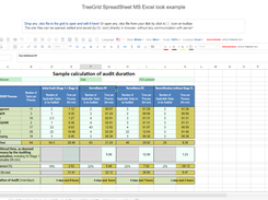 TreeGrid SpreadSheet Screenshot 1