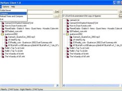 The new tool NetSync - just before comparing directories !