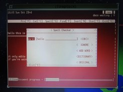 Hello from inside TreeWriter when wordprocessors and programs had names spelt with two words together and they capitalized the second word making it one. (It seemed fun at the time)