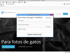Gerenciador de Download Próprio 