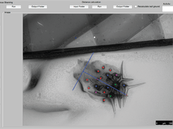 TrichEratops Screenshot 1