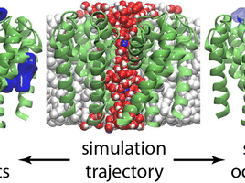 trj_cavity