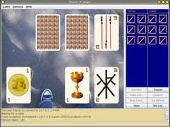 v0.24, now with better cards