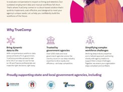 Visualize Smarter Government at Work