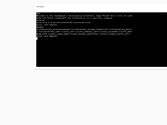 Console