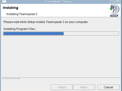 Teamspeak 3 Linux Installer - Installing
