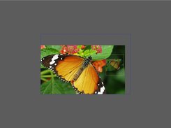 TascConcepts DLL XBPictureViewer10 Screenshot 2