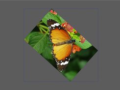 TascConcepts DLL XBPictureViewer10 Screenshot 4