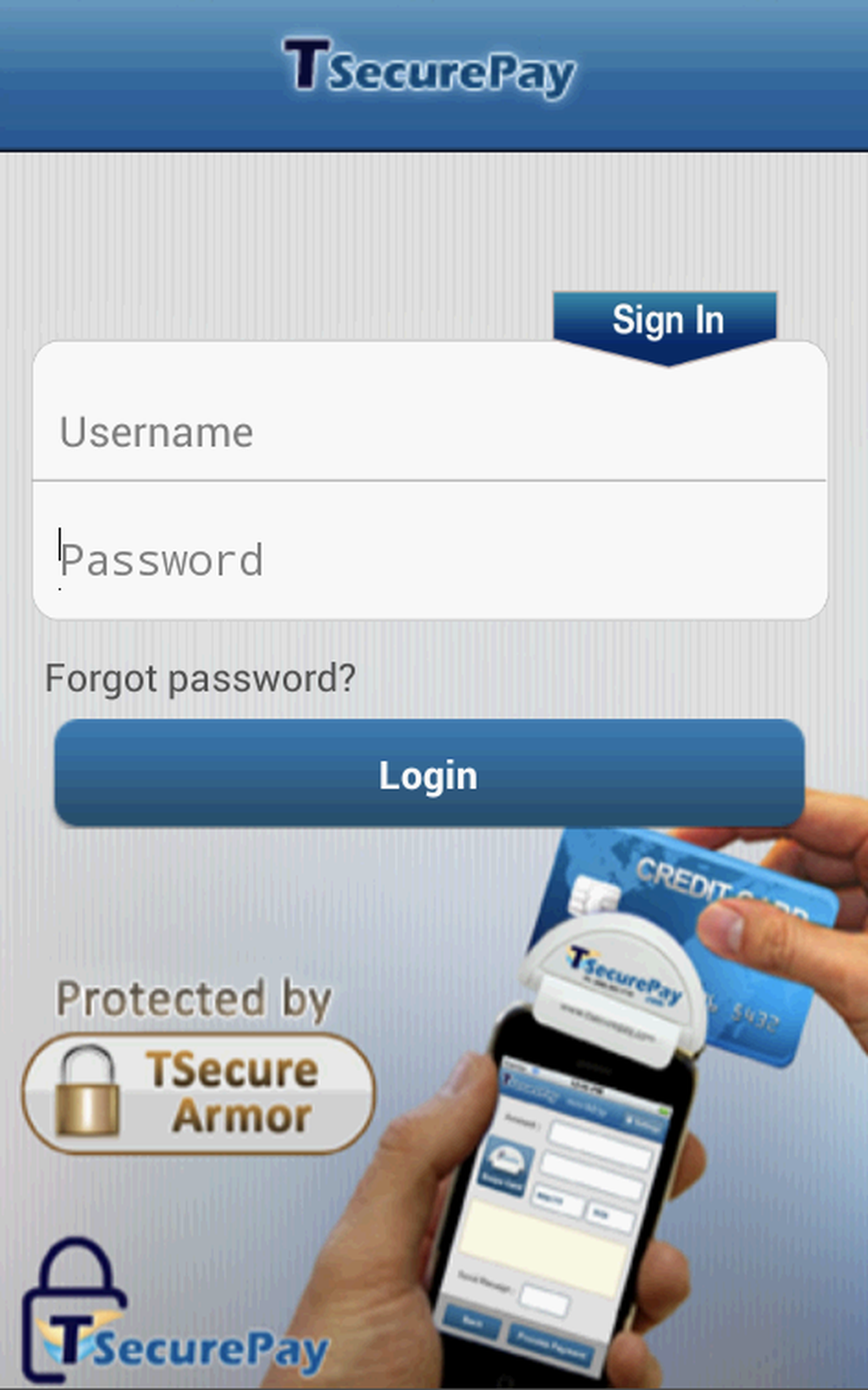 TSecurePay Screenshot 1