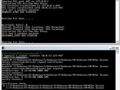 Launching the proxy, and connecting via OpenSSL