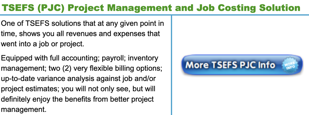 TSEFS Project Management Screenshot 1