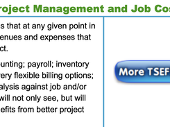 TSEFS Project Management Screenshot 1