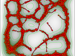 Vascular network simulated with Tissue Simulation Toolkit