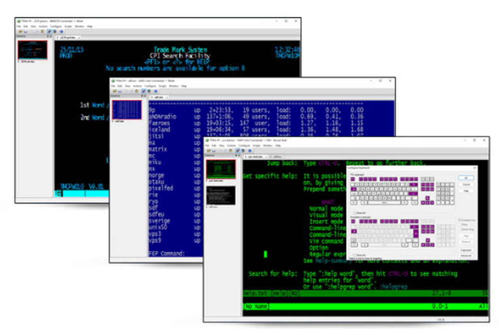 TTWin 4 Screenshot 1