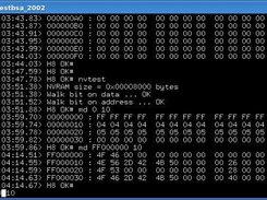 ttyterm console with timestamp enabled while editing command