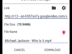 Download The Video With Aladin Download Manager