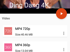 Video format options