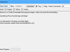 Main Interface