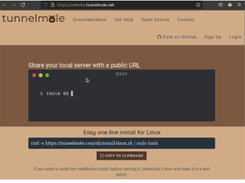 Tunnelmole Screenshot 1
