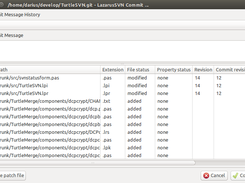 TurtleSVN :: Commit dialog