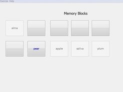 the Memory Blocks part memory game 