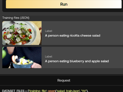 TwelveLabs Screenshot 1