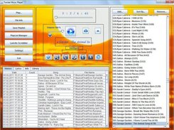 The Main Window-Customization Example