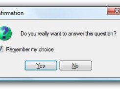 Message box with remember choice option.