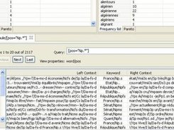 TXM RCP App with Concordance and Lexicon Close up