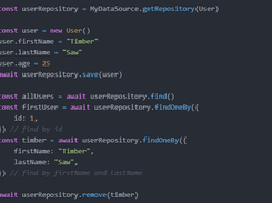 TypeORM Screenshot 1
