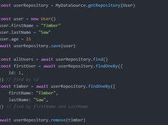 TypeORM Screenshot 2