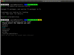 TypeScript Express Starter Screenshot 1