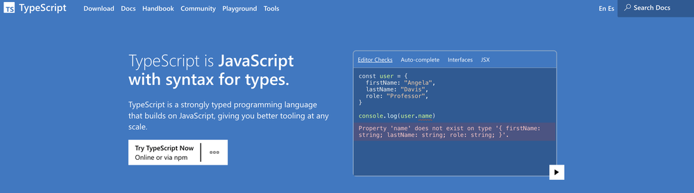 TypeScript Screenshot 1