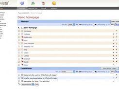 CMS interface, site structure and content