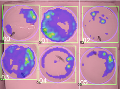 Sample output of heatmap