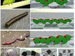 UBotSim-Multi-patterns motion for worm-like robot using sine-function