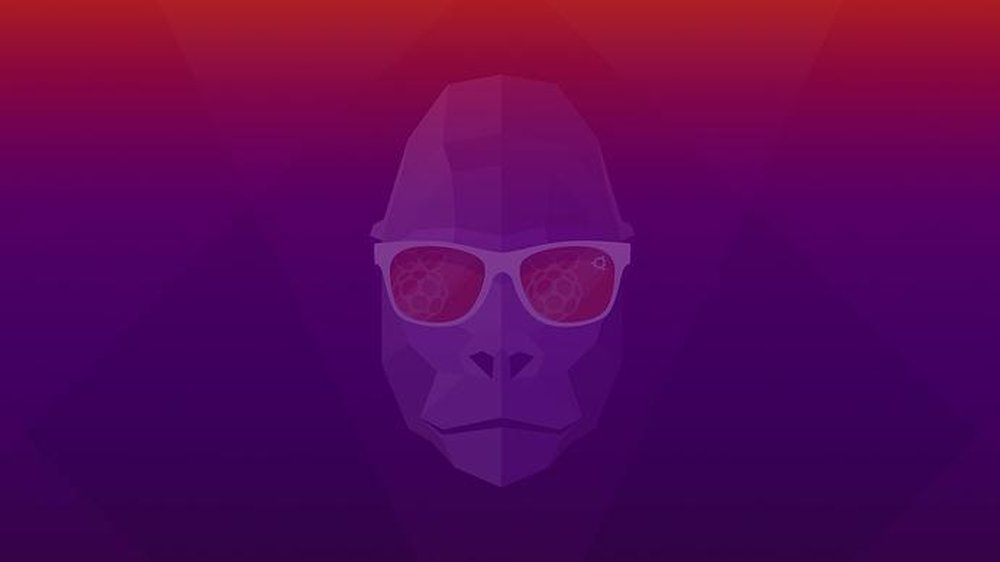 Ubuntu for Raspberry Pi Screenshot 1