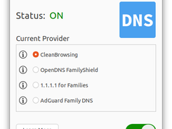 DNS Minder
