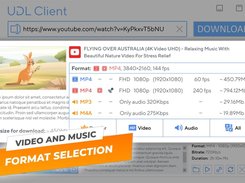 Video and Music format selection